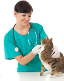 La calicivirose. la mutuelle santé pour chat.