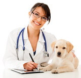 allergies du chien Mutuelle santé animaux domestiques